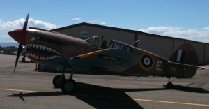 P-40 at Warhawk Museum