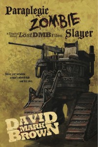 zombie slayer cover low